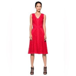 Tadashi Shoji Deep Rose Lace Pintuck Jersey Fit Flare Cocktail Dress 12